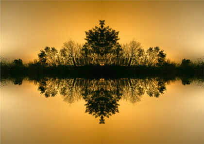 Photo fine art - Pollution Lumineuse Face Au Mimosa