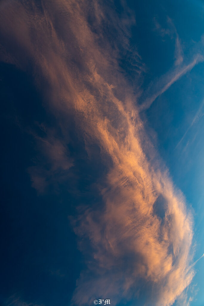 Photographie artistique