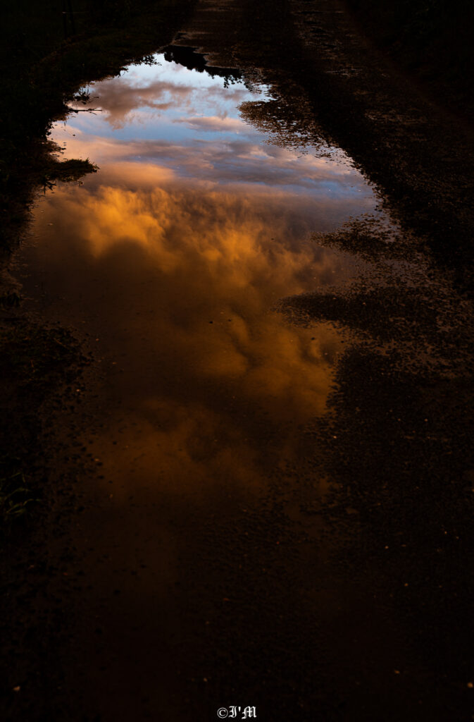 Photographie artistique